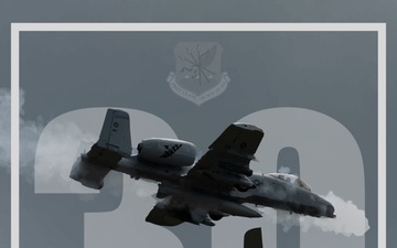 A-10 Thunderbolt II Idaho Anniversary