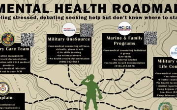 Mental Health Roadmap