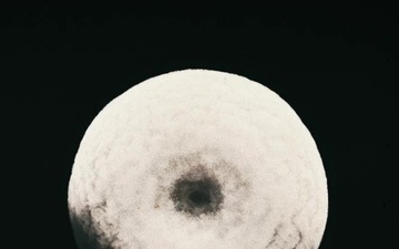 79th TSC BWC Animation