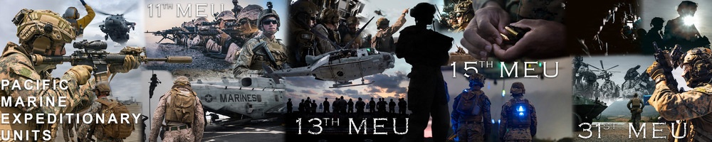Pacific Marines: Marine Expeditionary Units Graphic