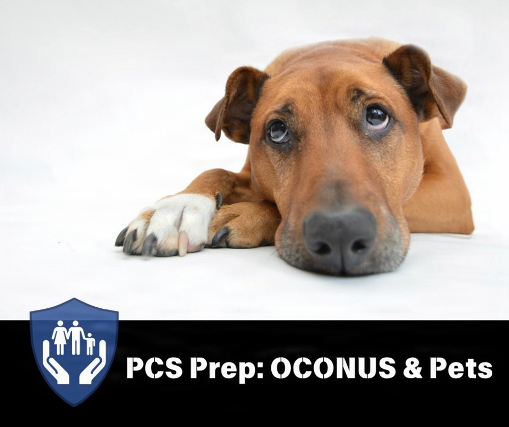 Book Pet Health Certificate Screening Now for OCONUS PCS Moves