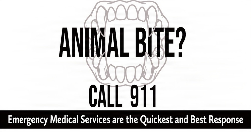 Animal Bite Graphic