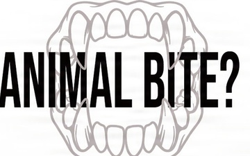 Animal Bite Graphic