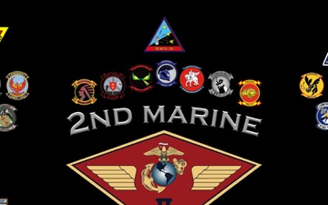 2nd MAW Squadron's Logo's