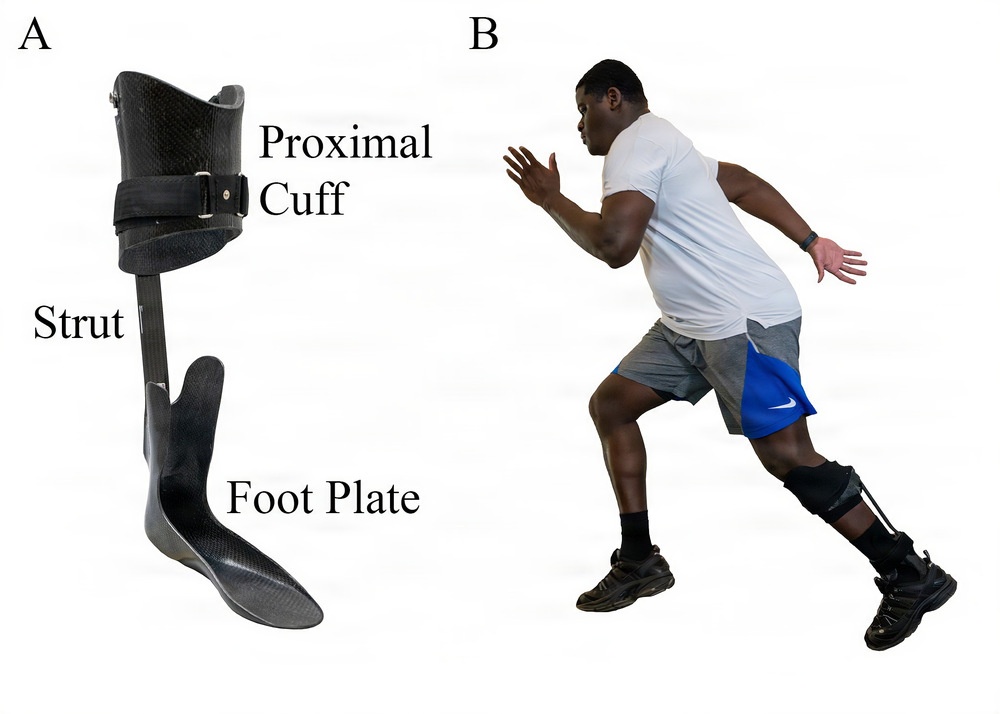 Innovative Rehabilitation Protocols Transform Warfighter Recovery