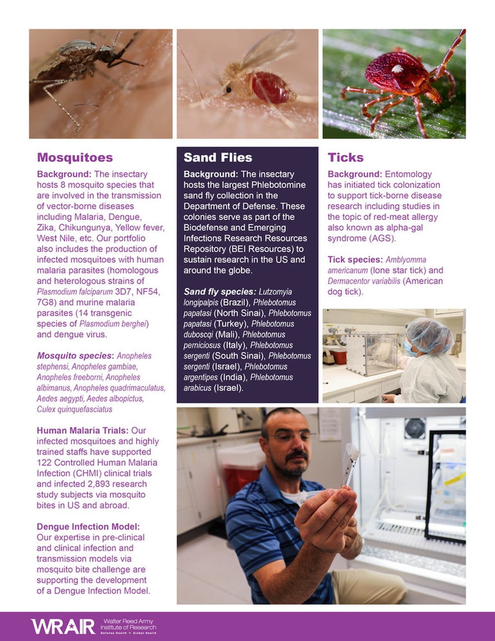 Entomology One-Pager Page 2