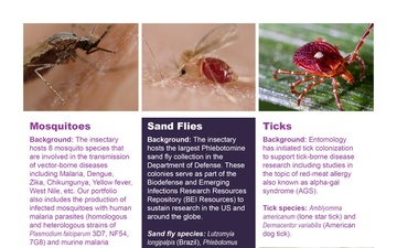 Entomology One-Pager Page 2