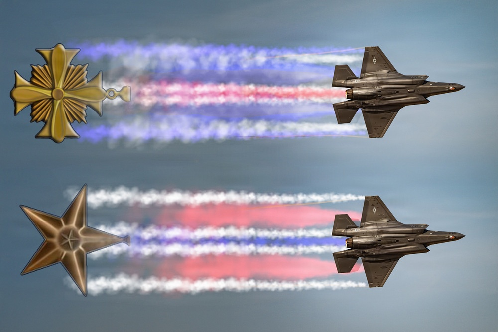 Bronze Star &amp; Distinguished Flying Cross Illustration