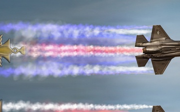 Bronze Star &amp; Distinguished Flying Cross Illustration