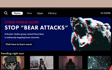 Cyber threat alert: Stop bear attacks graphic