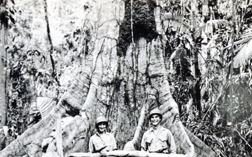 Battle of Guadalcanal in the Solomon Islands 1942
