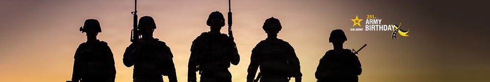 Army 251 Birthday Social Platform Banner – LinkedIn