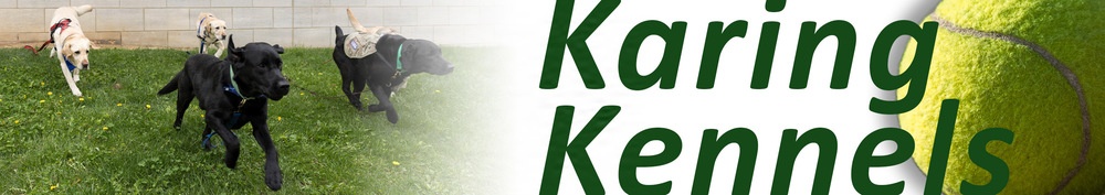 AFN Go banner: Karing Kennels