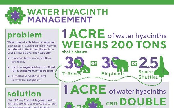 Evolution of Invasive Plant Management on Lake Okeechobee since the 2019 Spray Moratorium