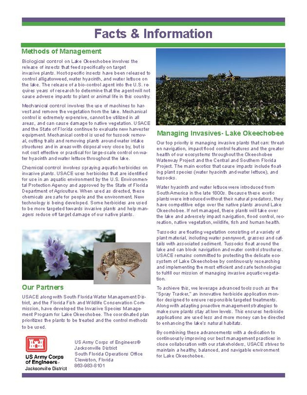 Lake Okeechobee Aquatic Invasive Species Fact Sheet