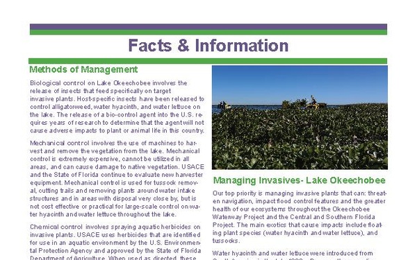 Lake Okeechobee Aquatic Invasive Species Fact Sheet