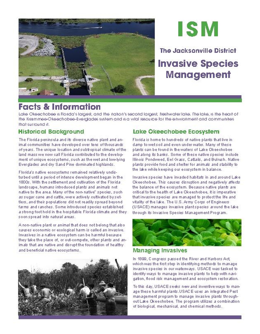 Lake Okeechobee Aquatic Invasive Species Fact Sheet