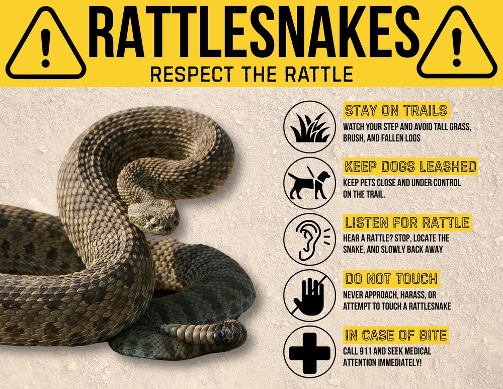 Rattlesnakes: Respect the Rattle