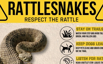 Rattlesnakes: Respect the Rattle