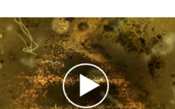 JSTO Video Library