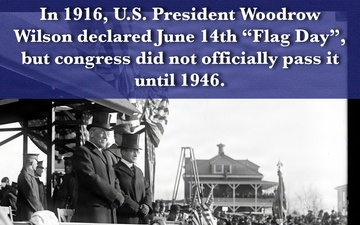 Flag Day Carousel
