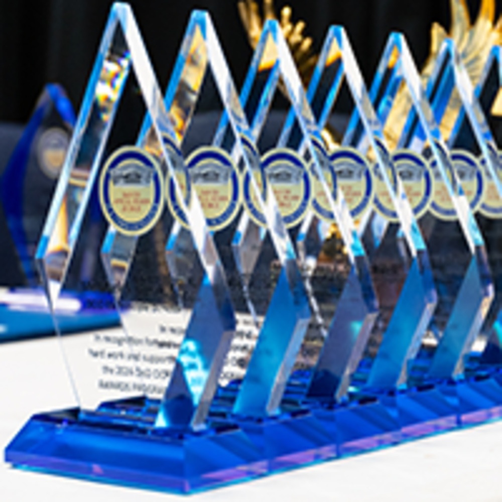 CIO Awards Winner Place Holder Image