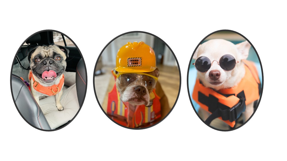 AFNWC safety mascots