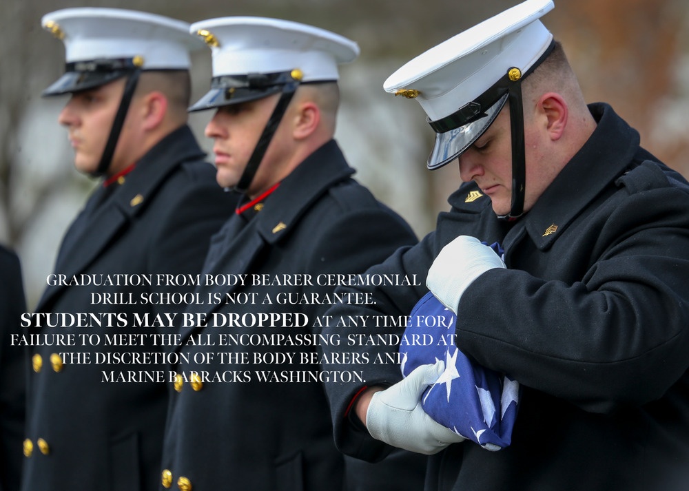 United States Marine Corps Body Bearers Illustration
