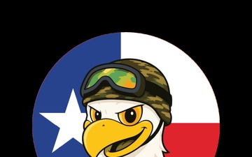 Texas Joint Counterdrug DDRO Logo