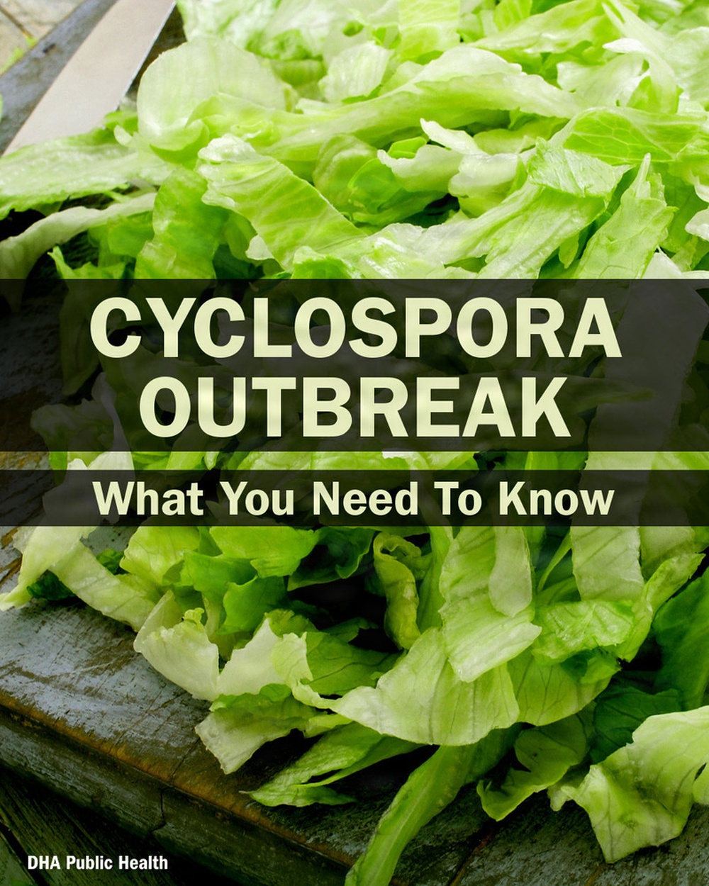Cyclospora - Outbreak Alert