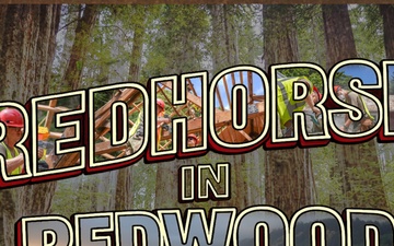 Beyond the Beauty: 201st RED HORSE Partners with the National Park Service to Preserve America’s Redwoods While Building Readiness