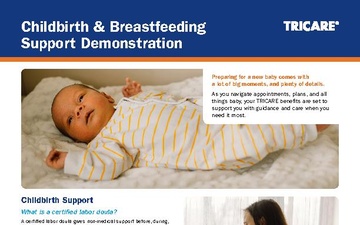Childbirth &amp; Breastfeeding Support Demonstration: Child Birth Support Fact Sheet