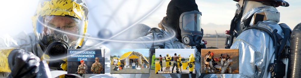 Nuclear Weapon Accident Response Procedures (NARP)