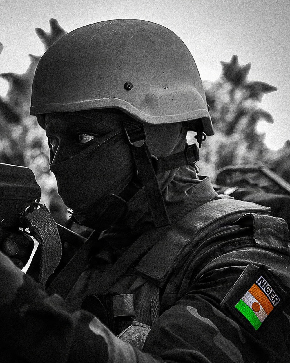 SETAF-AF celebrates Niger Independence Day