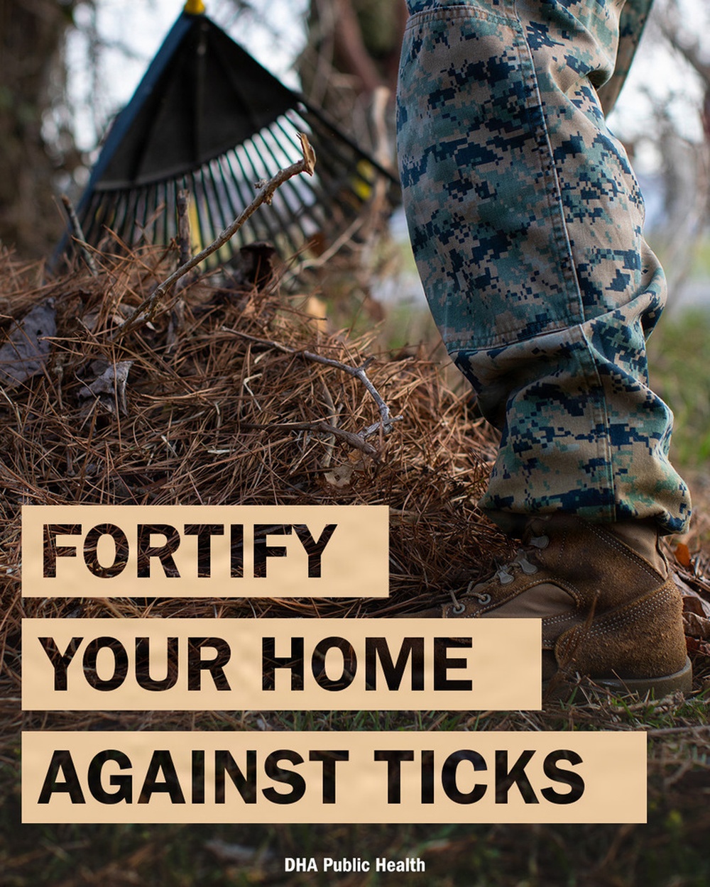 Tick Prevention at Home