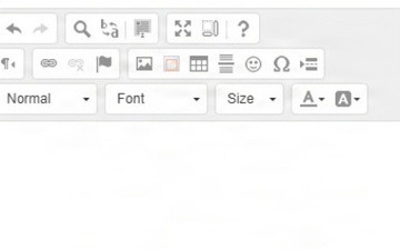 508 Rich Text Editor