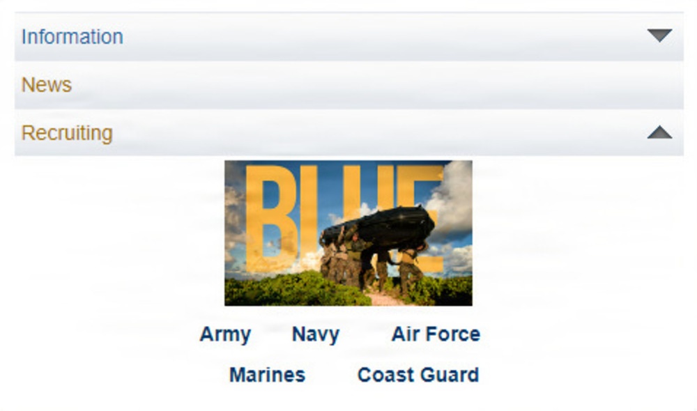 Accordion Menu