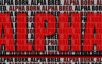 Alpha Company Social Media Carousel