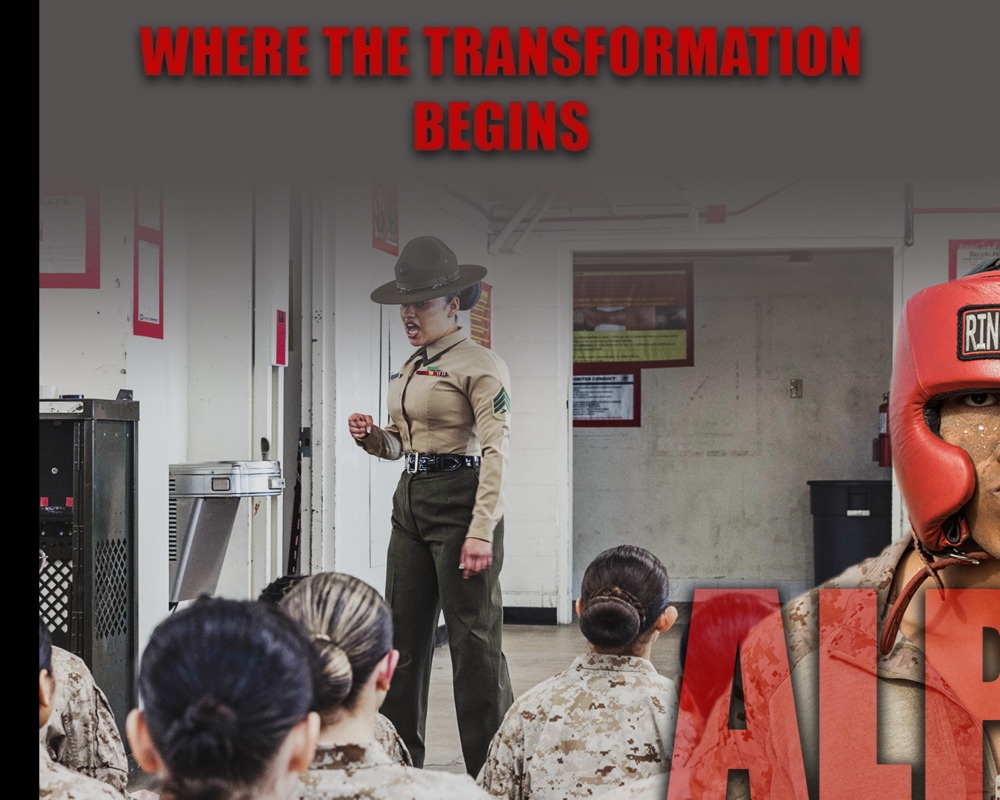 Alpha Company Social Media Carousel