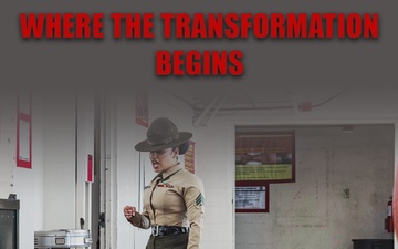 Alpha Company Social Media Carousel