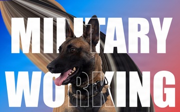 Marines behind the scenes of America’s Air Show