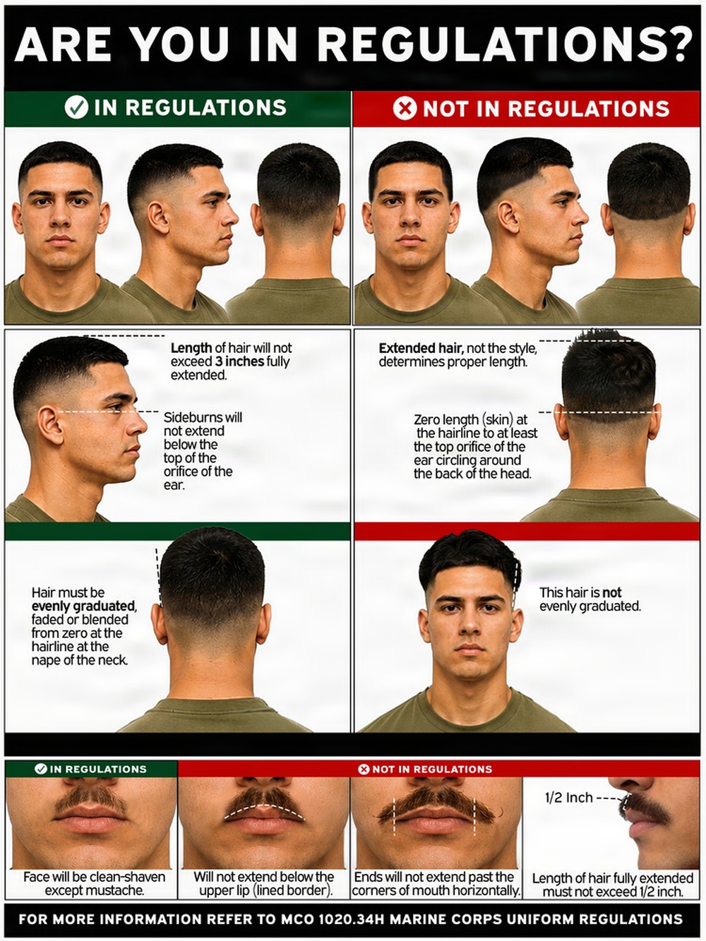Grooming regulations poster