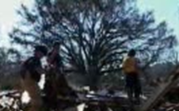 Firefighters and Dog Handlers