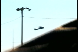 1st Cavalry Pilot