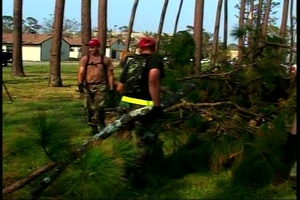 Clearing Trees at Keesler