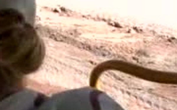 Freedom Journal Iraq 383