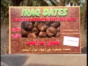 Date Palm Spraying