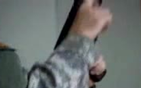 IP Training to Be Expanded at FOB Remagen