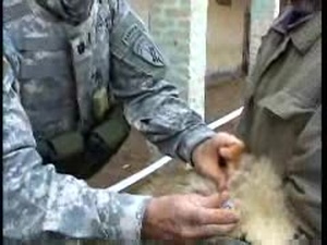 Veterinary Civil Actions Program