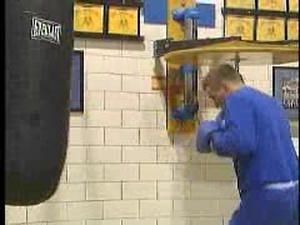 Air Force Report - Academy Boxer